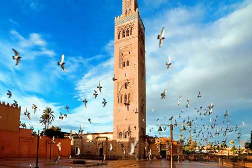 Private Marrakech Guided City Tour