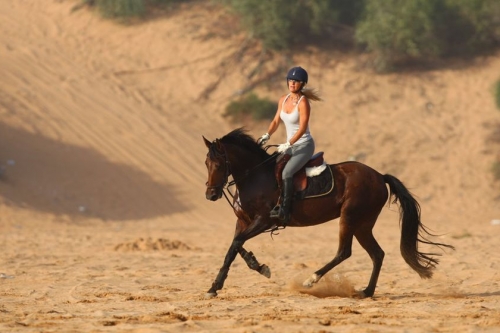 Horse Riding in Marrakech